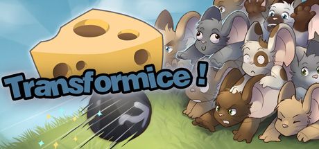 Okładka gry Transformice