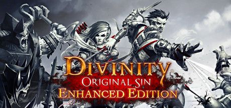 Okładka gry Divinity: Original Sin - Enhanced Edition